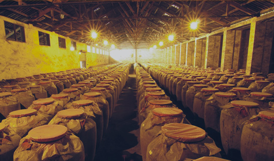 成都蜀之源酒业全新企业网站升级上线