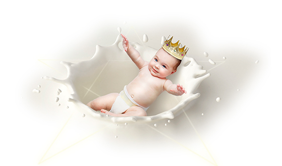 新希望集团旗下爱瑞嘉品牌网站全新升级上线