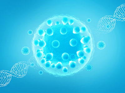 新生命干细胞科技