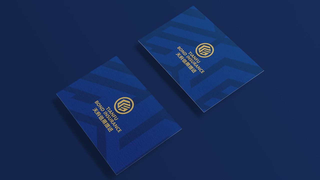 天府信用增进企业名片设计