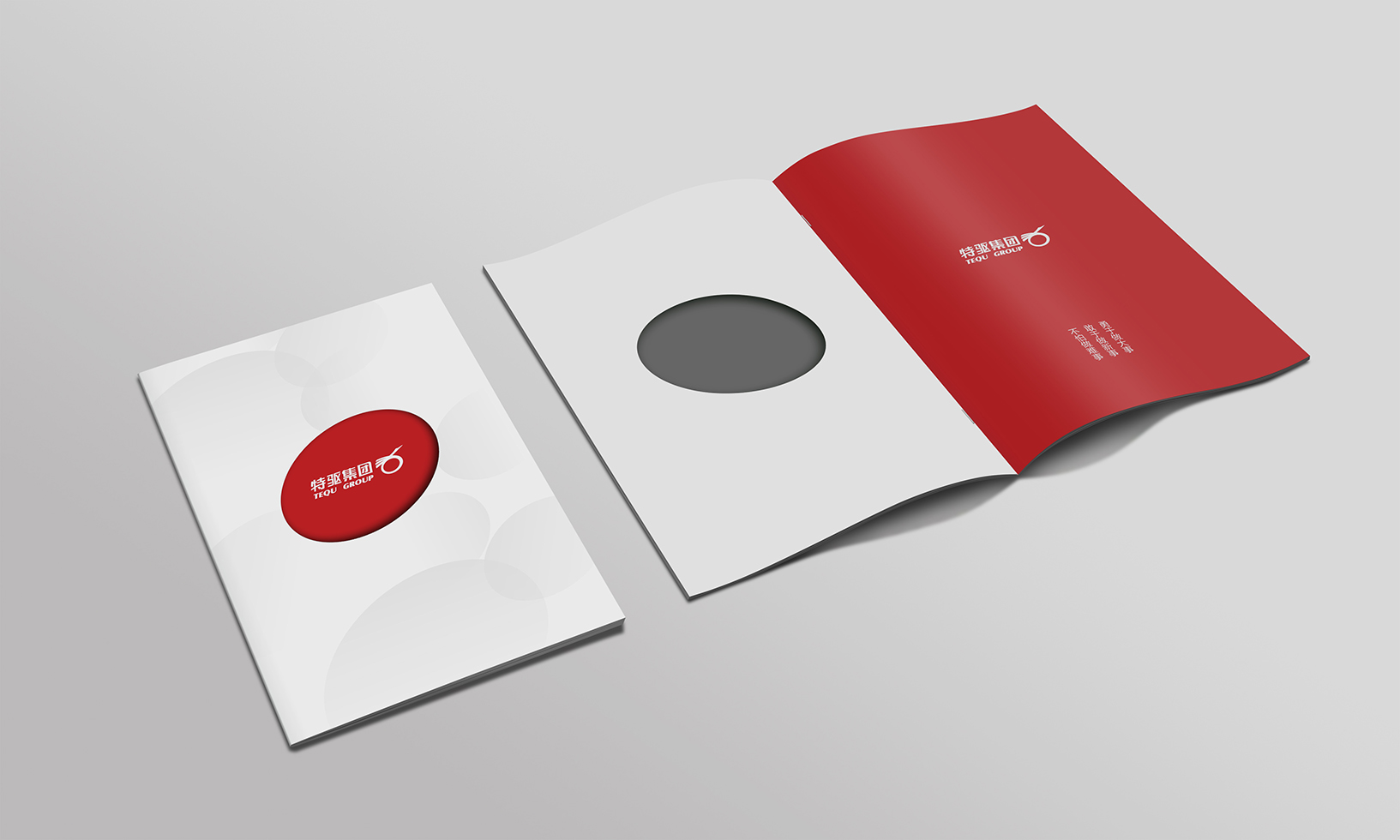 特驱集团扉页画册