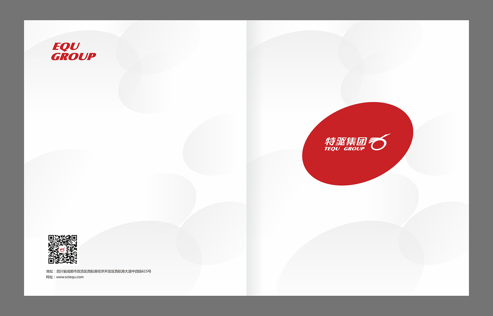 特驱集团画册VI标志