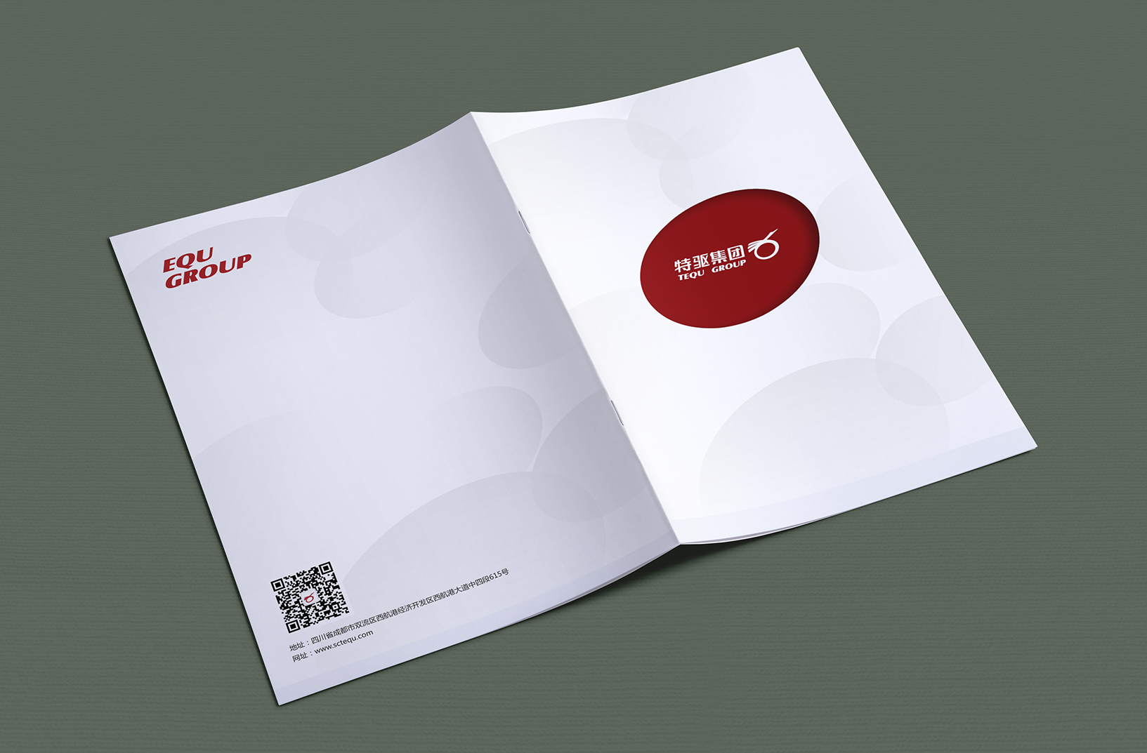 特驱集团画册封面设计