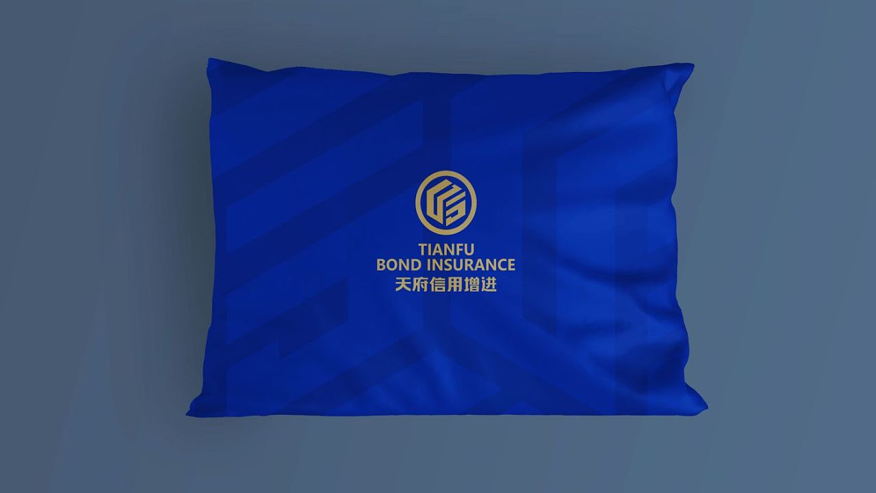 天府信用增进办公用品VI标识