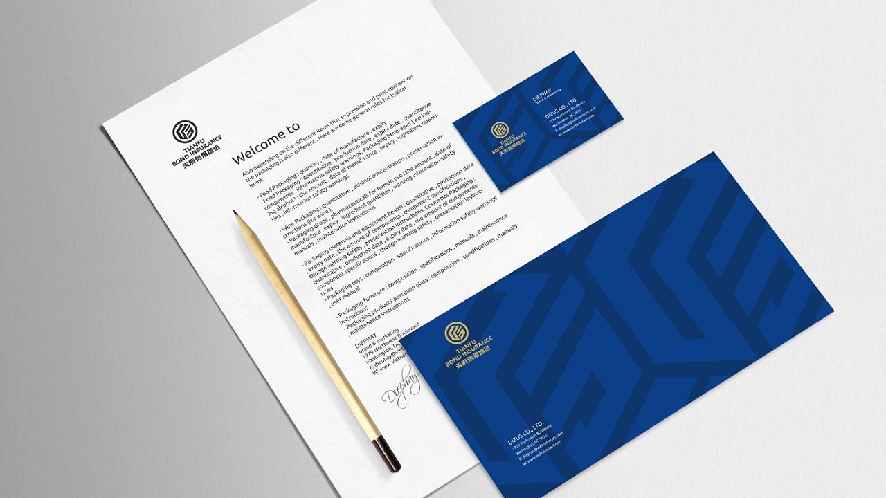 天府信用增进画册VI标识