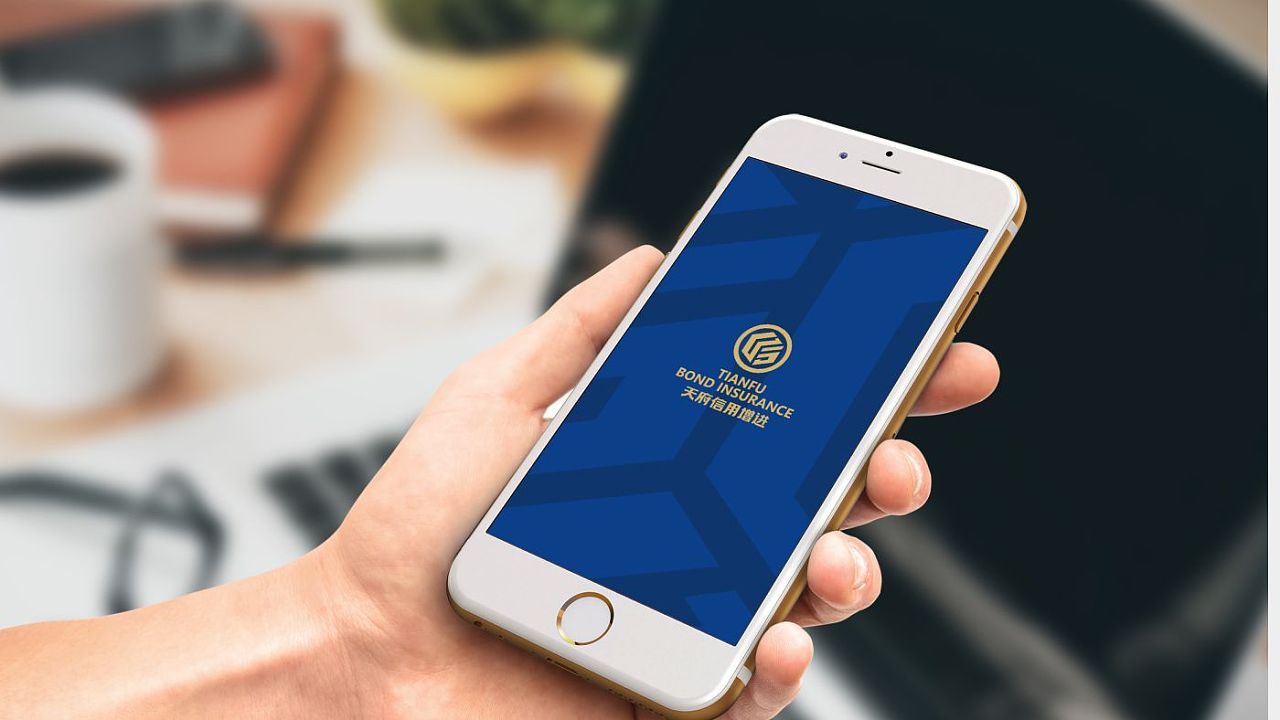 天府信用增进手机网站VI标志