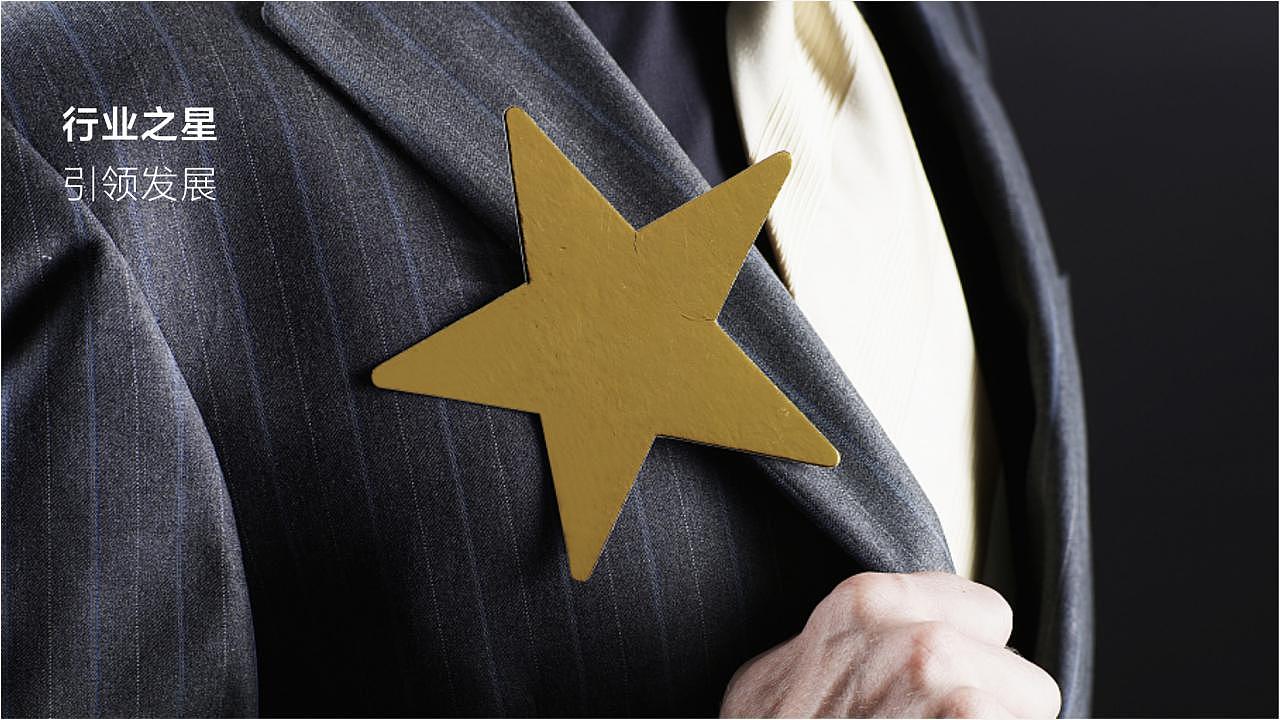 欧美产业园公司品牌：行业之星