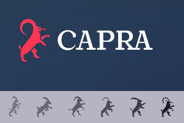 公司品牌设计-6 公司品牌设计过程:细化设计