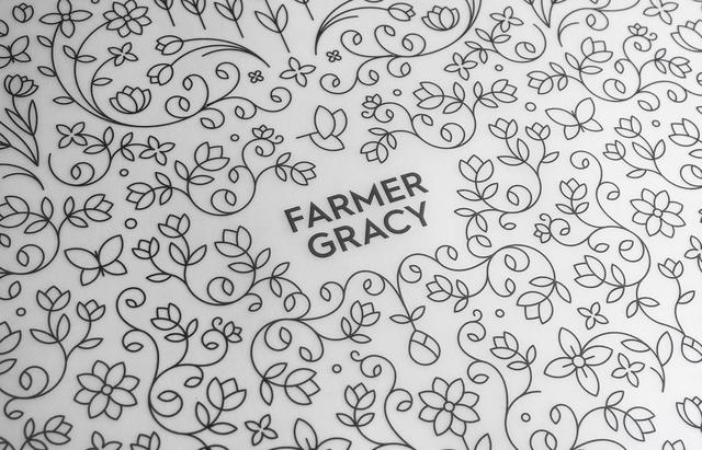 农产品宣传册vi