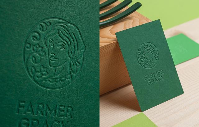 农产品品牌形象墙vi设计