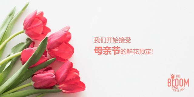 vi设计:品牌传播