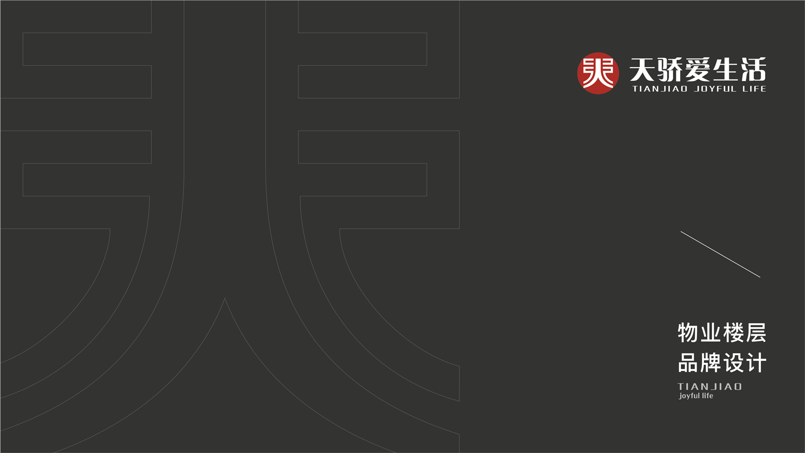 天骄爱生活品牌名称标志设计