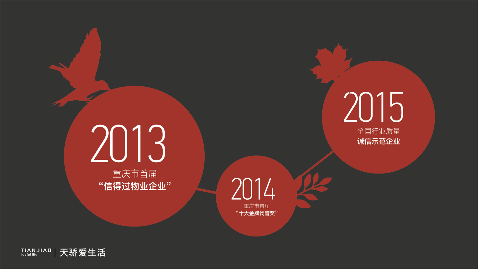 天骄爱生活品牌设计：公司发展历程