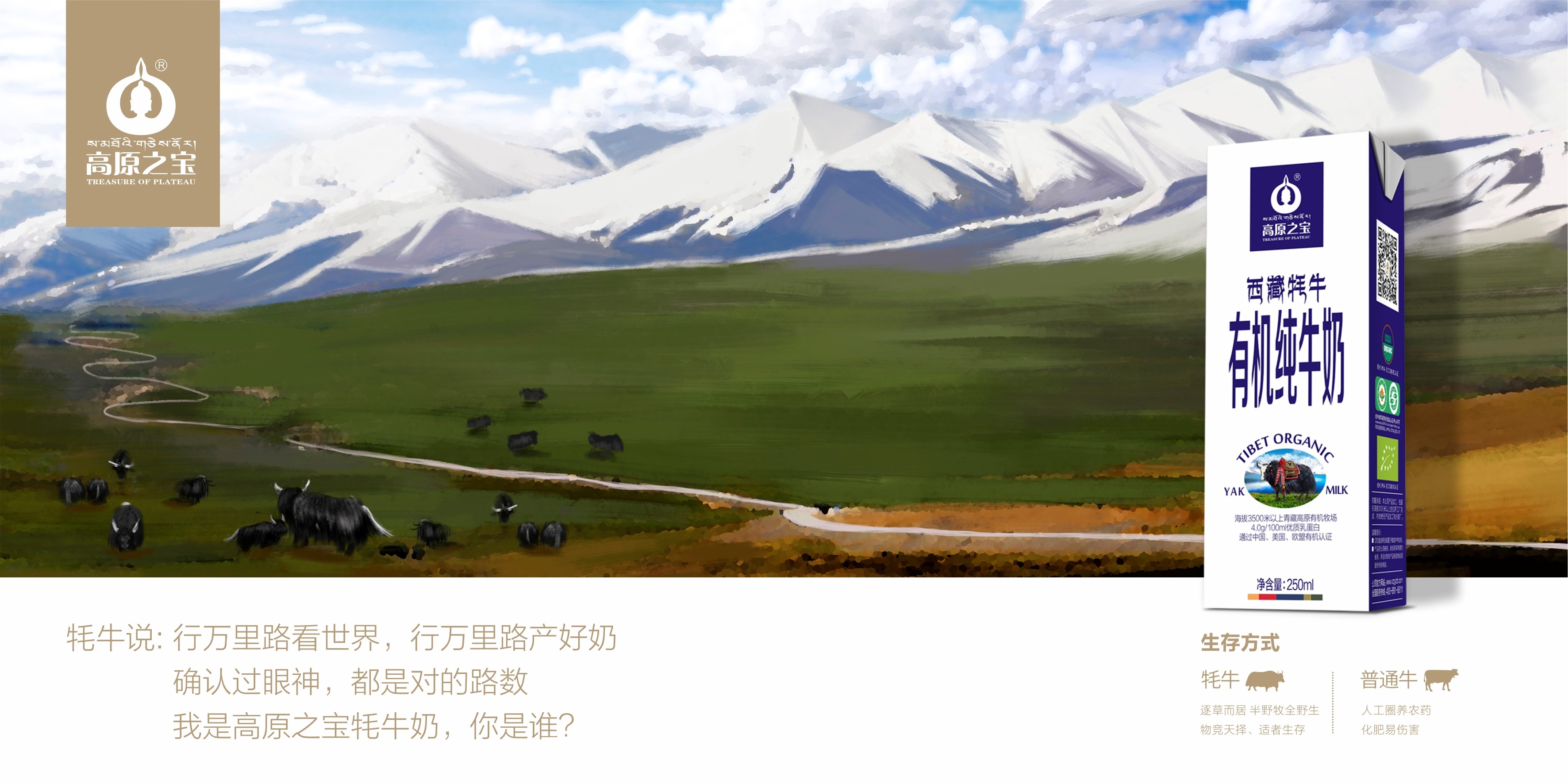 高原之宝品牌全案策划