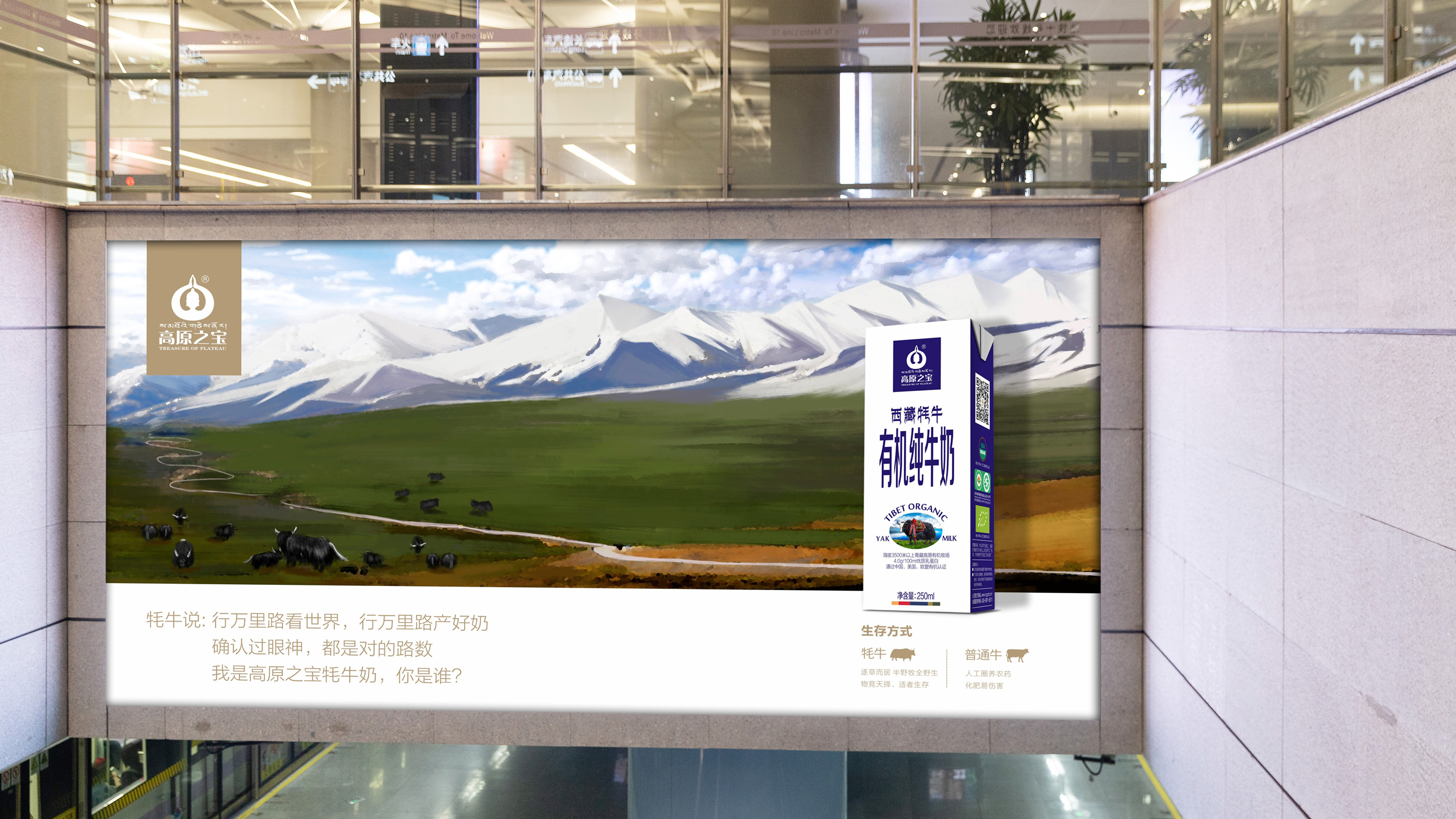 高原之宝商场广告投放