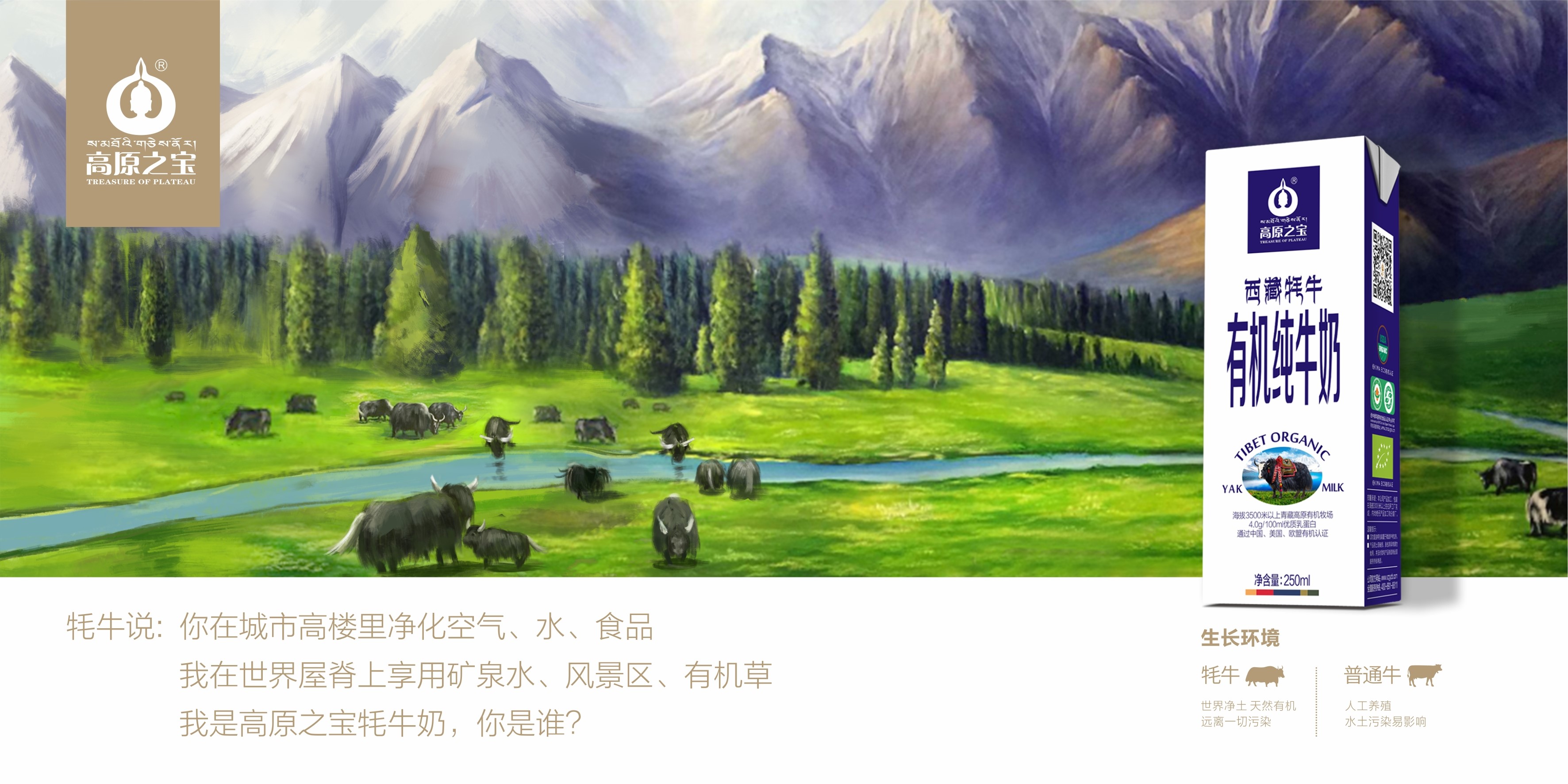 高原之宝品牌广告设计