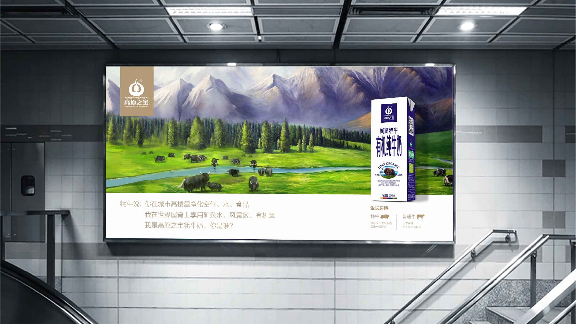 高原之宝地铁广告