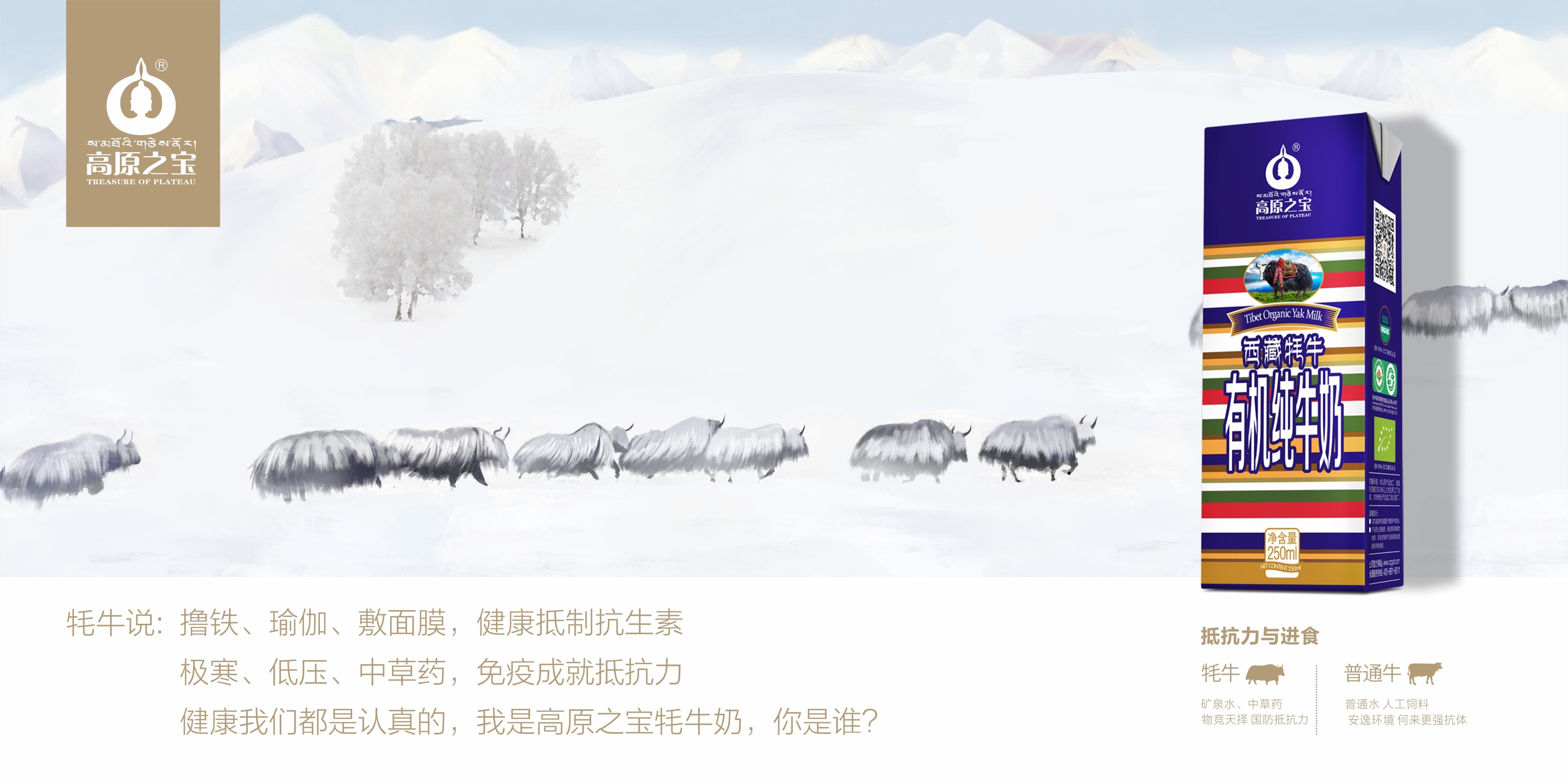 高原之宝品牌设计