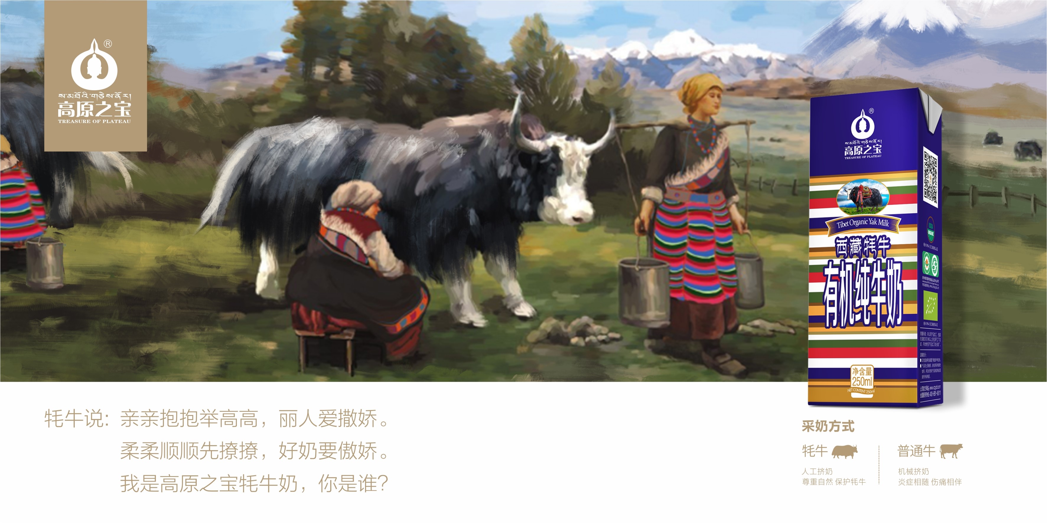 高原之宝品牌全案策划