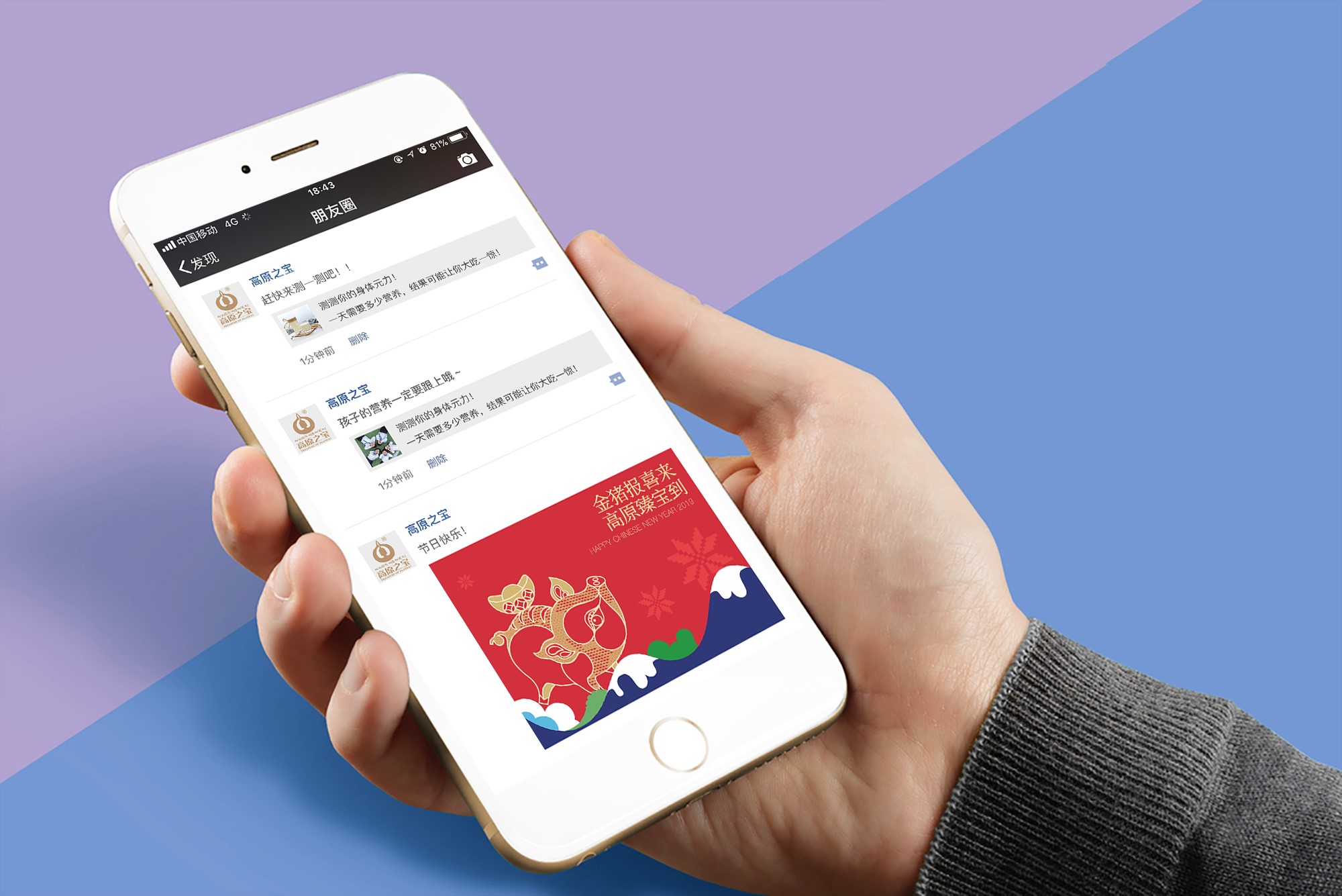 高原之宝微信朋友圈营销策划