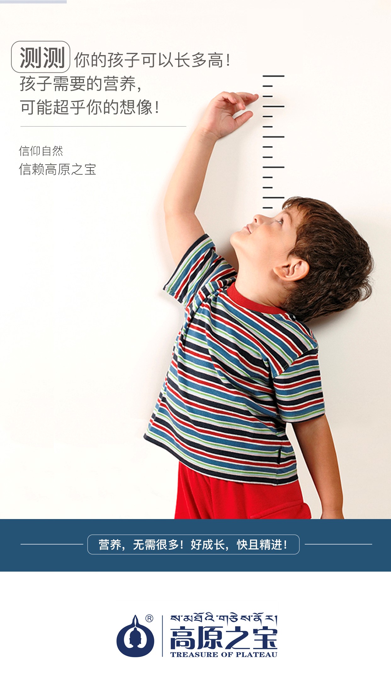 高原之宝活动策划