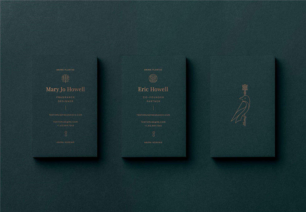 Tenth Muse香水内包装品牌标志vi设计