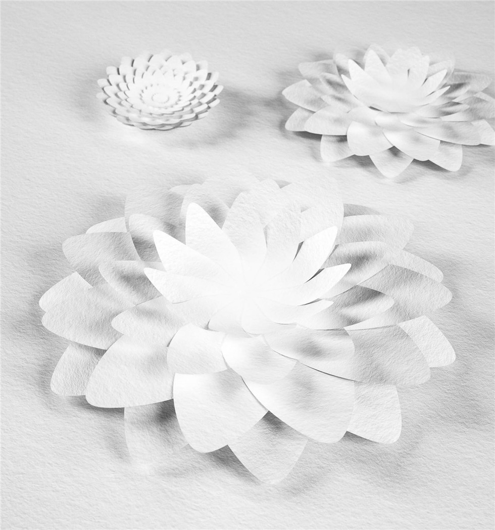 威士忌品牌创意视觉