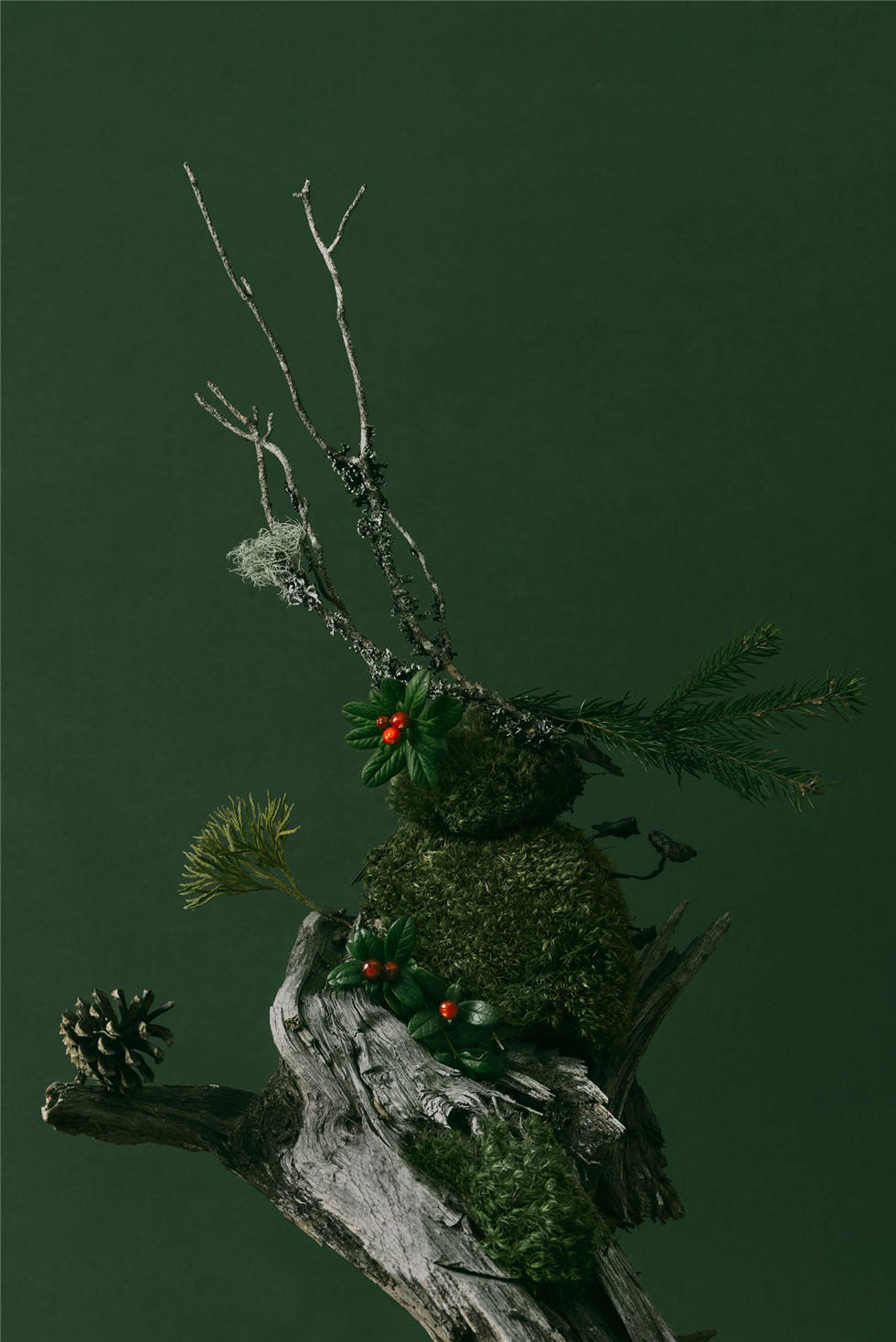 产品包装品牌形象设计