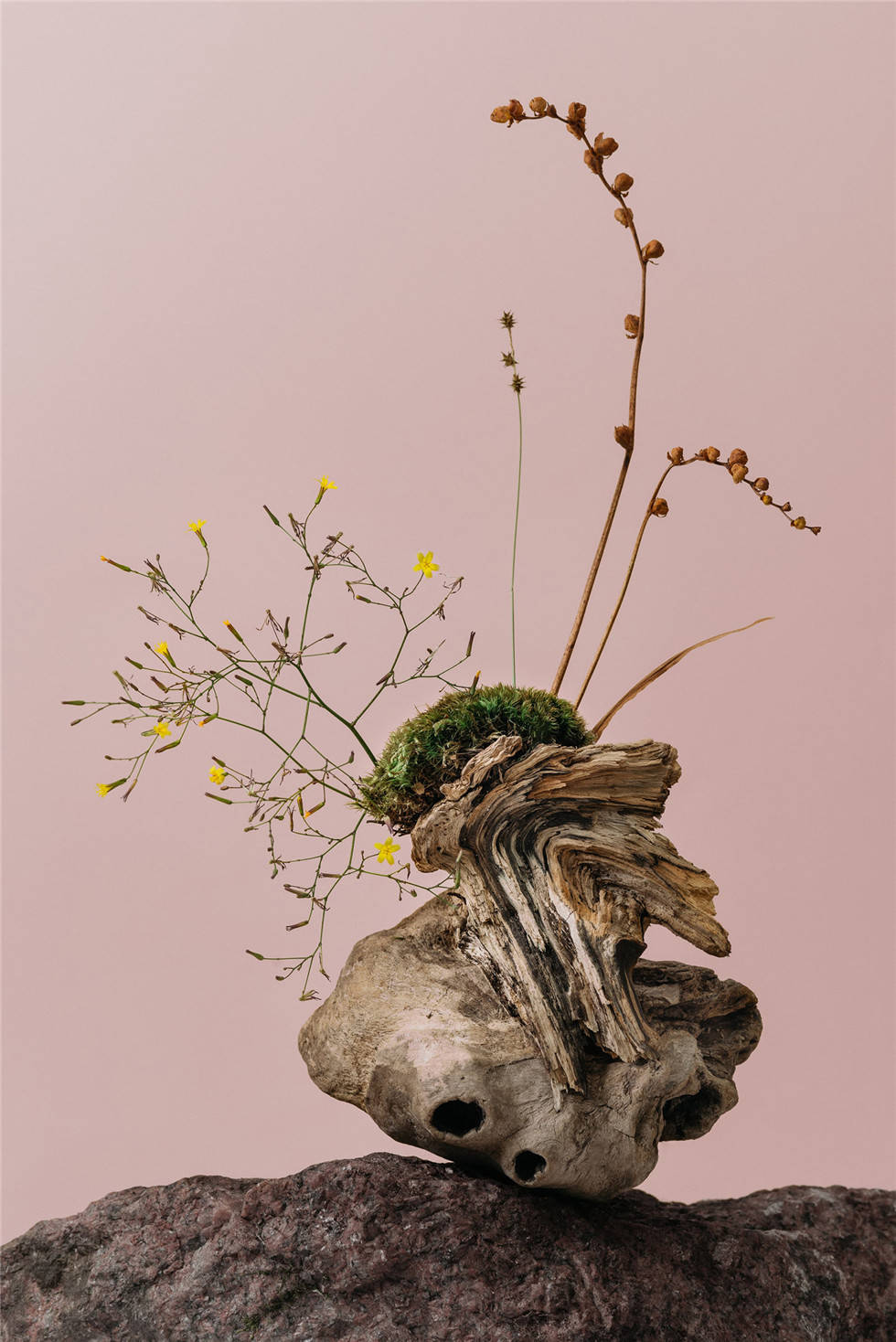 化妆品品牌设计