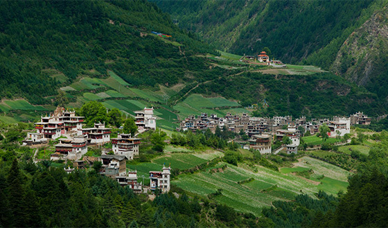 川旅投集团网站正式上线